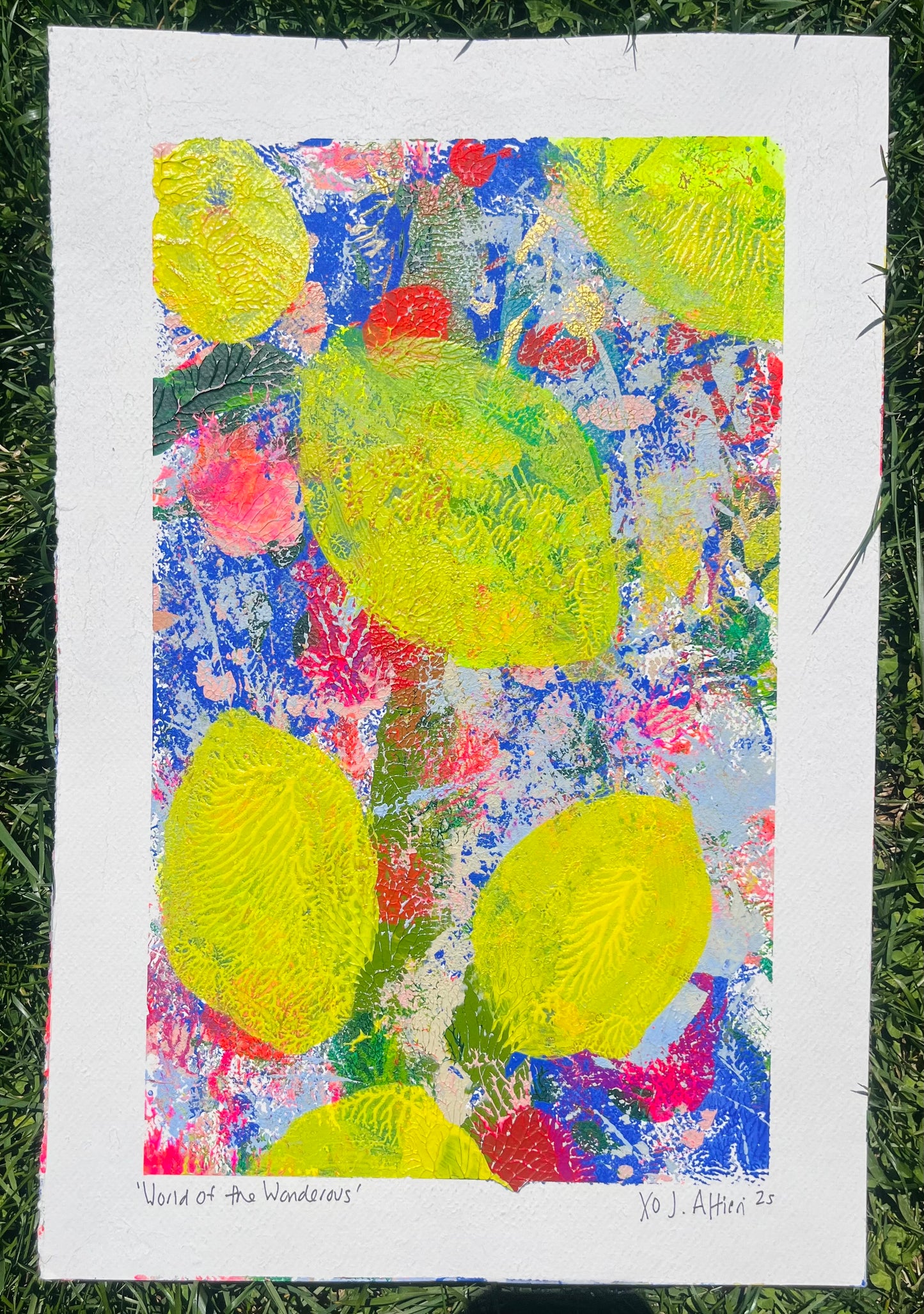 “World of the Wonderous”