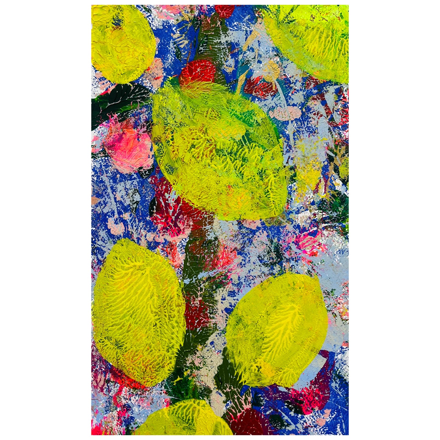 “World of the Wonderous”