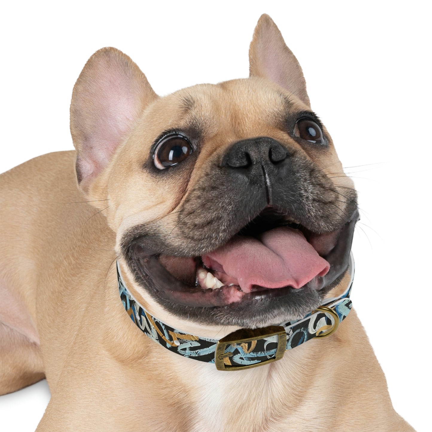 "LOVEHAPPY"  Dog Collar