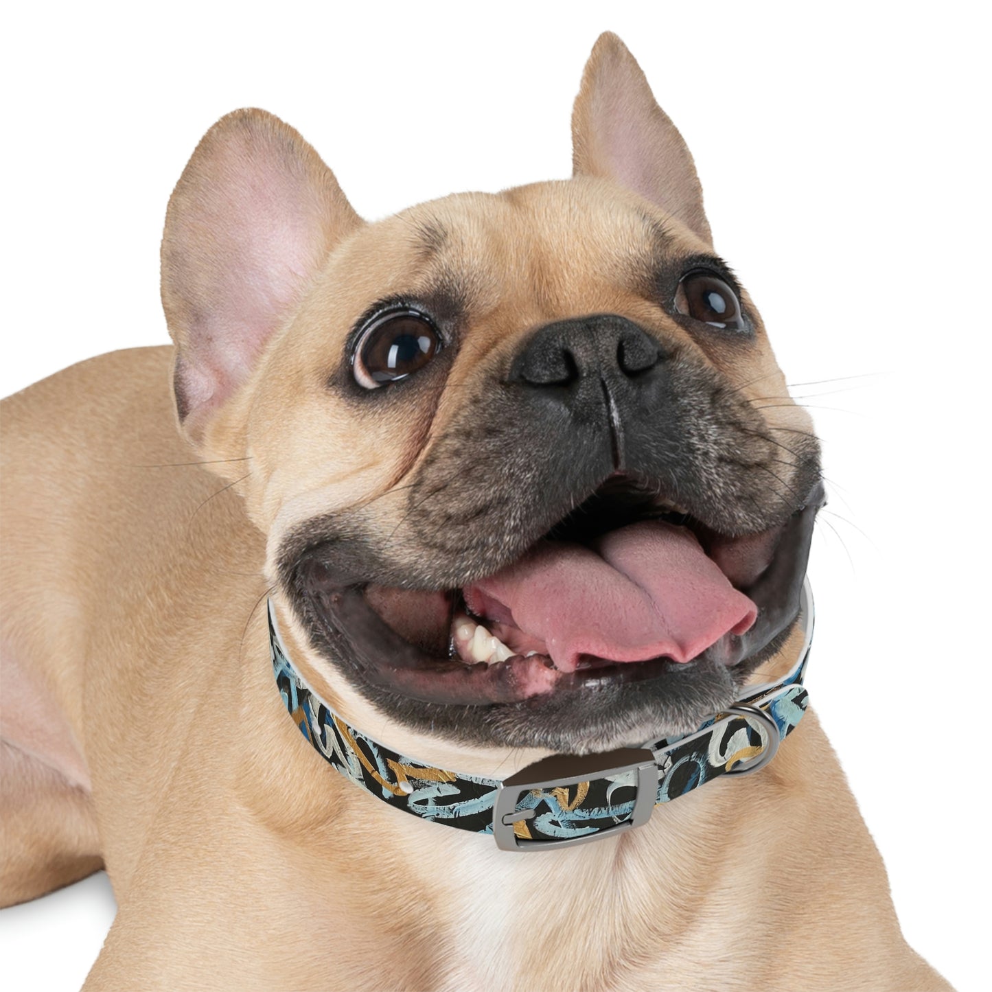 "LOVEHAPPY"  Dog Collar