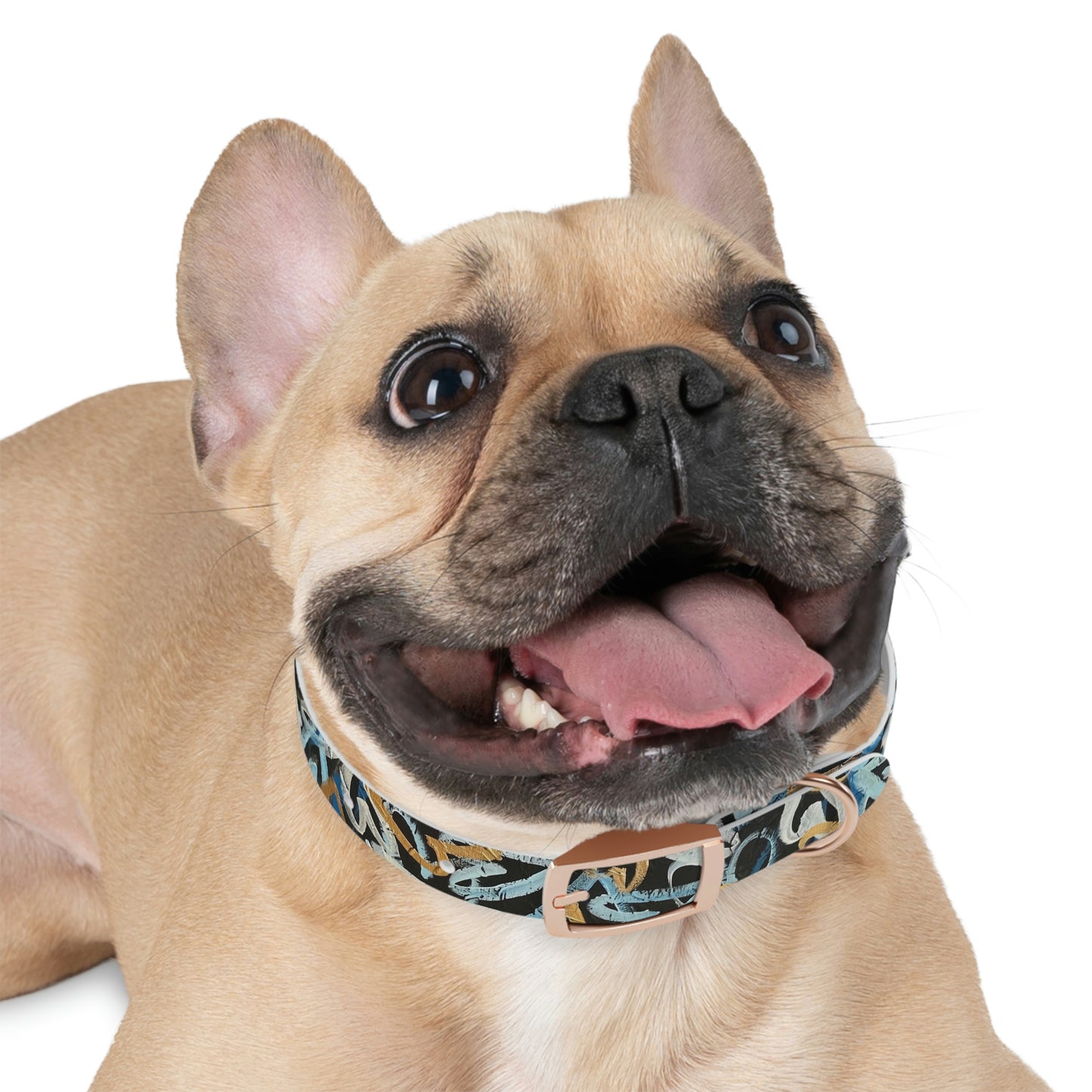 "LOVEHAPPY"  Dog Collar